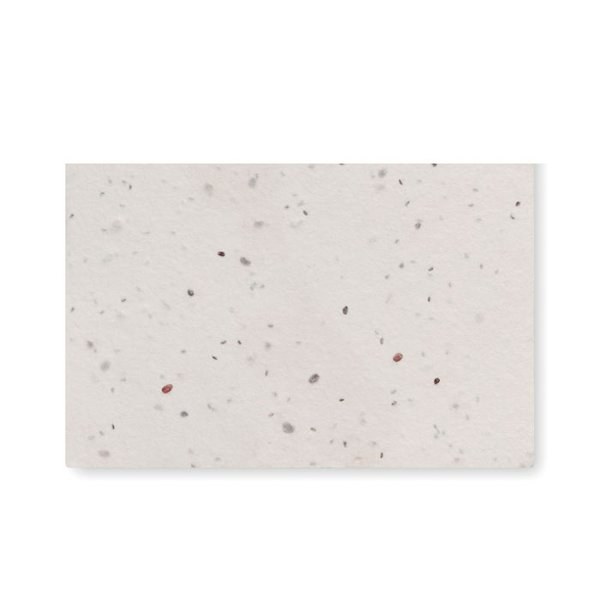 ASIDA Wildflower seed business card. - GiftRetail MO2993